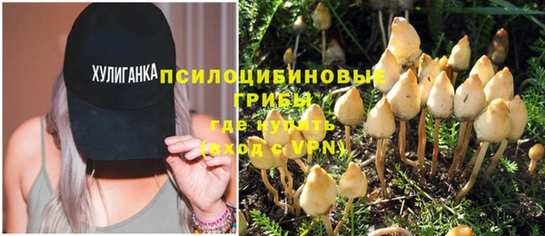 твердый Балабаново
