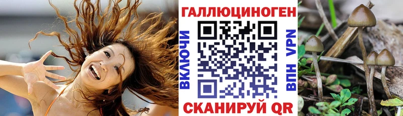 Псилоцибиновые грибы GOLDEN TEACHER  Купить где  Усть-Лабинск 